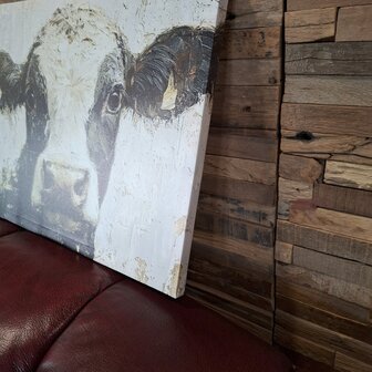 Canvas Koe - 2