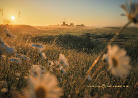 Landschap 4 - Agri Trader Foto van het Jaar 2025