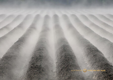 Landschap 3 - Agri Trader Foto van het Jaar 2025