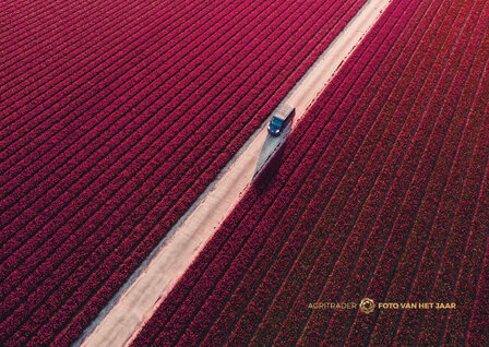 Landschap 5 - Agri Trader Foto van het Jaar 2025