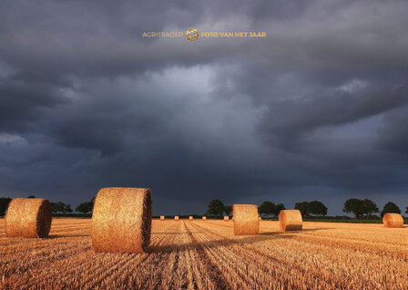 Landschap 1 - Agri Trader Foto van het Jaar 2025