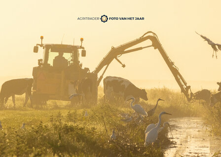 Levende Have 4 - Agri Trader Foto van het Jaar 2025