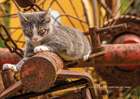 Levende Have 2 - Agri Trader Foto van het Jaar 2025
