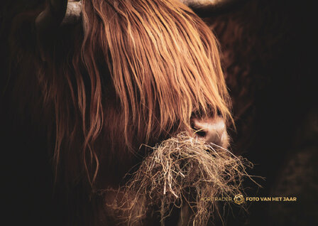 Levende Have 3 - Agri Trader Foto van het Jaar 2025