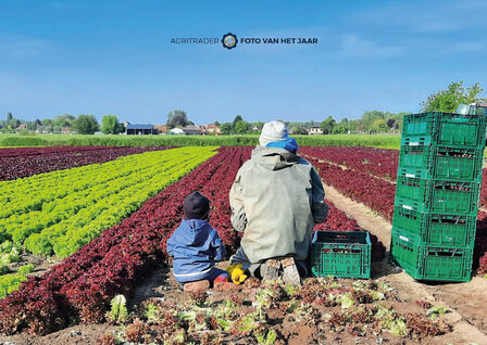 Liefde voor het vak 4 - Agri Trader Foto van het Jaar 2025