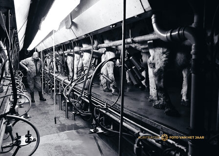 Liefde voor het vak 1 - Agri Trader Foto van het Jaar 2025