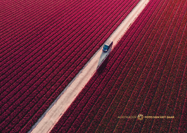 Landschap 5 - Agri Trader Foto van het Jaar 2025