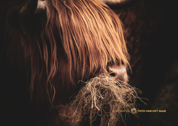 Levende Have 3 - Agri Trader Foto van het Jaar 2025