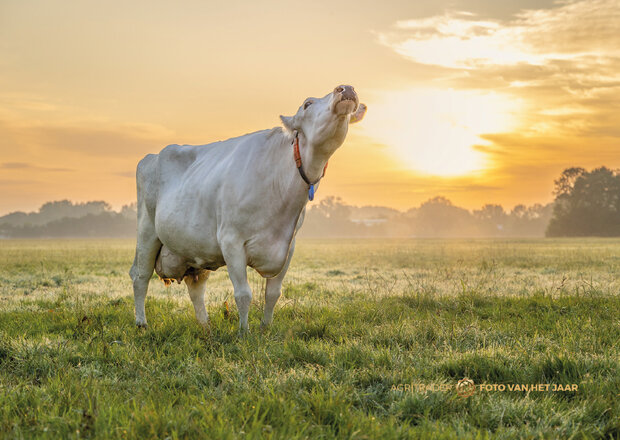 Levende Have 1 - Agri Trader Foto van het Jaar 2025