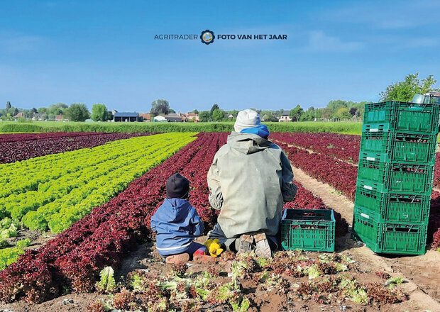 Liefde voor het vak 4 - Agri Trader Foto van het Jaar 2025