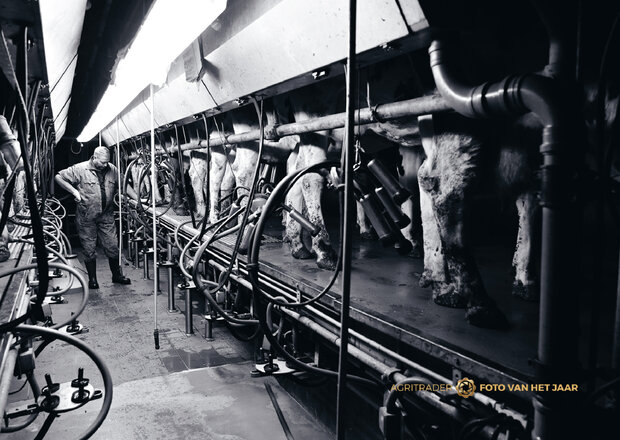 Liefde voor het vak 1 - Agri Trader Foto van het Jaar 2025