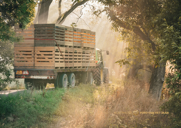 Transport 1 - Agri Trader Foto van het Jaar 2025